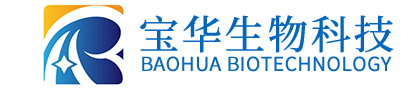 爱游戏网页登陆版-爱游戏（中国）
